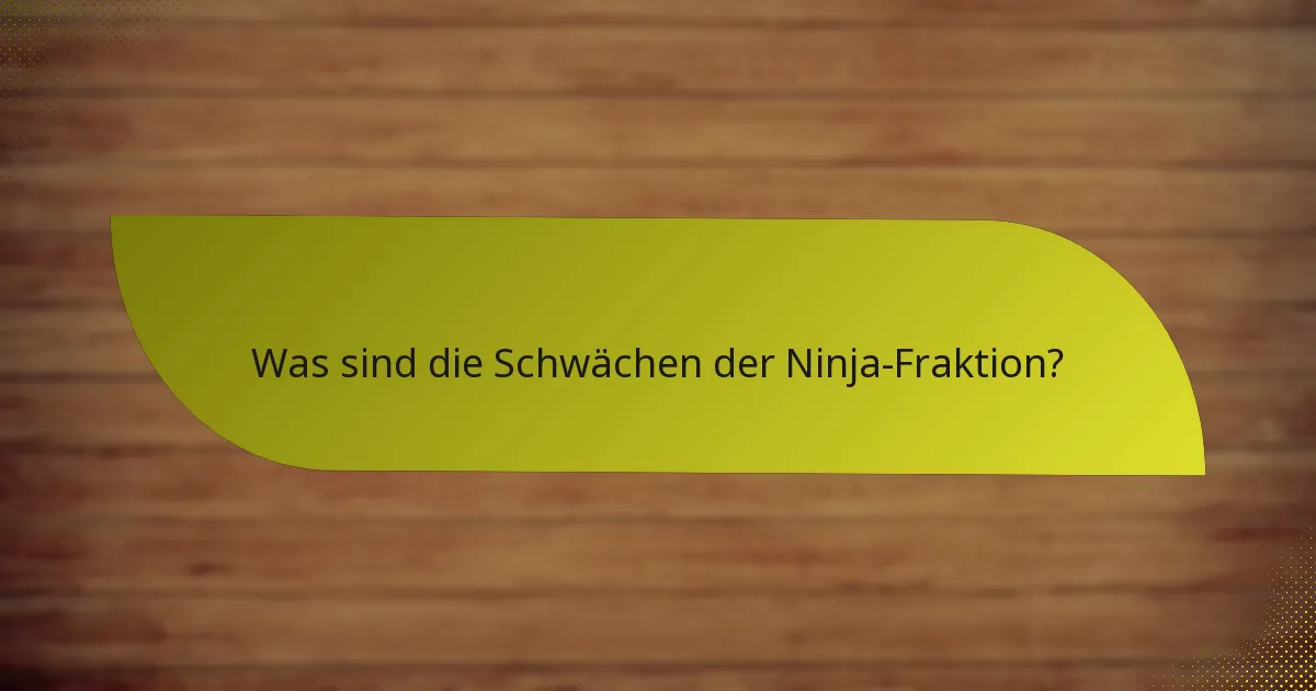 Was sind die Schwächen der Ninja-Fraktion?